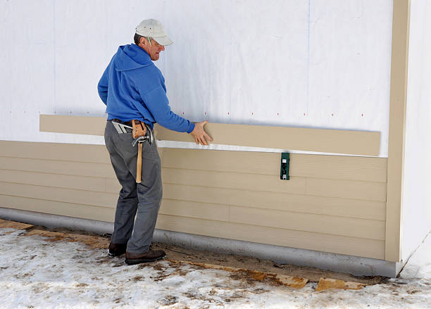 Best Custom Siding Design  in Earlvle, IL