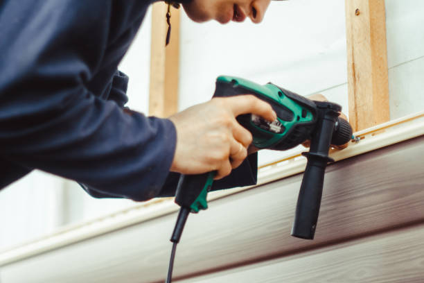 Best Vinyl Siding Installation  in Earlvle, IL